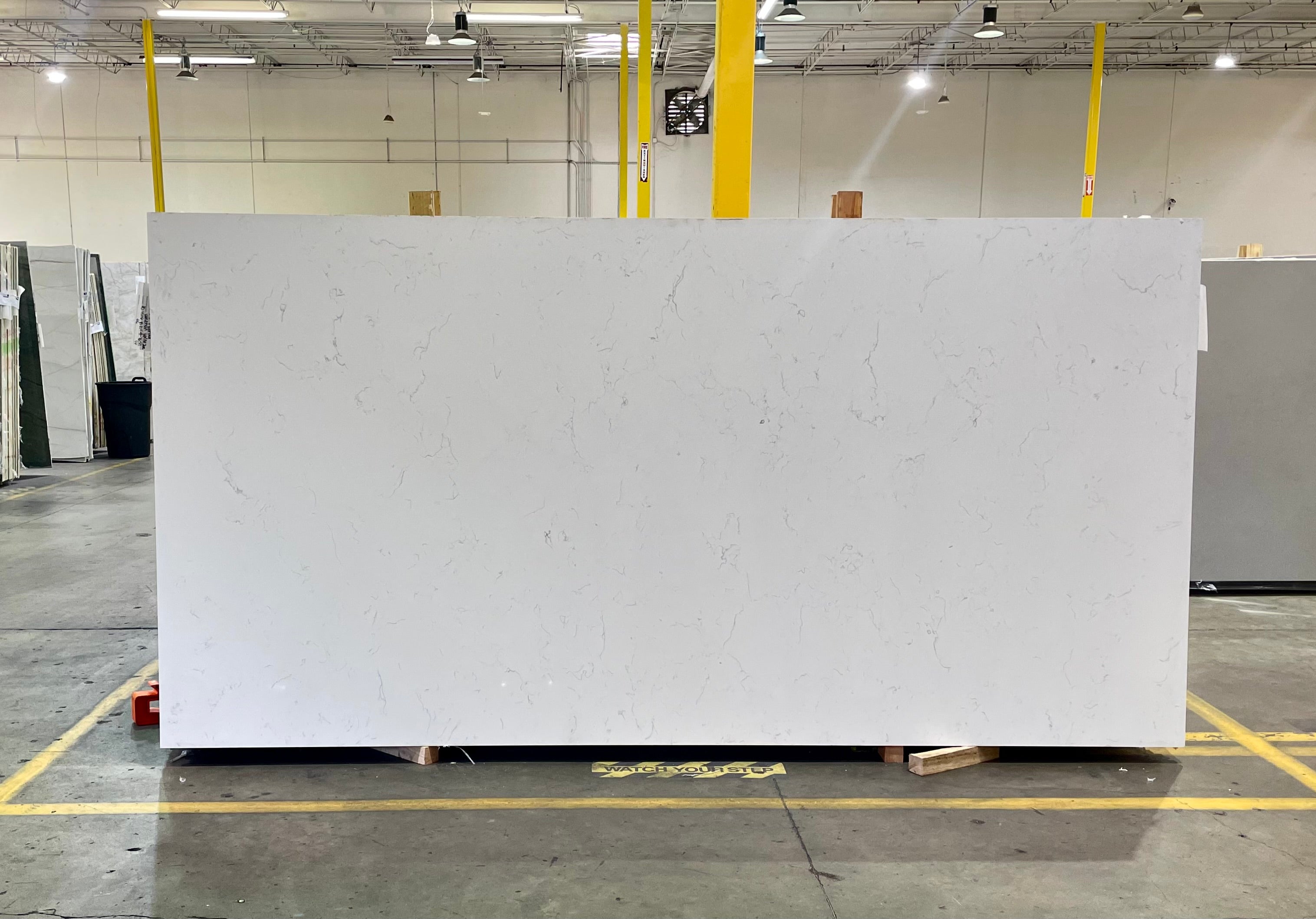 Carrara White 204