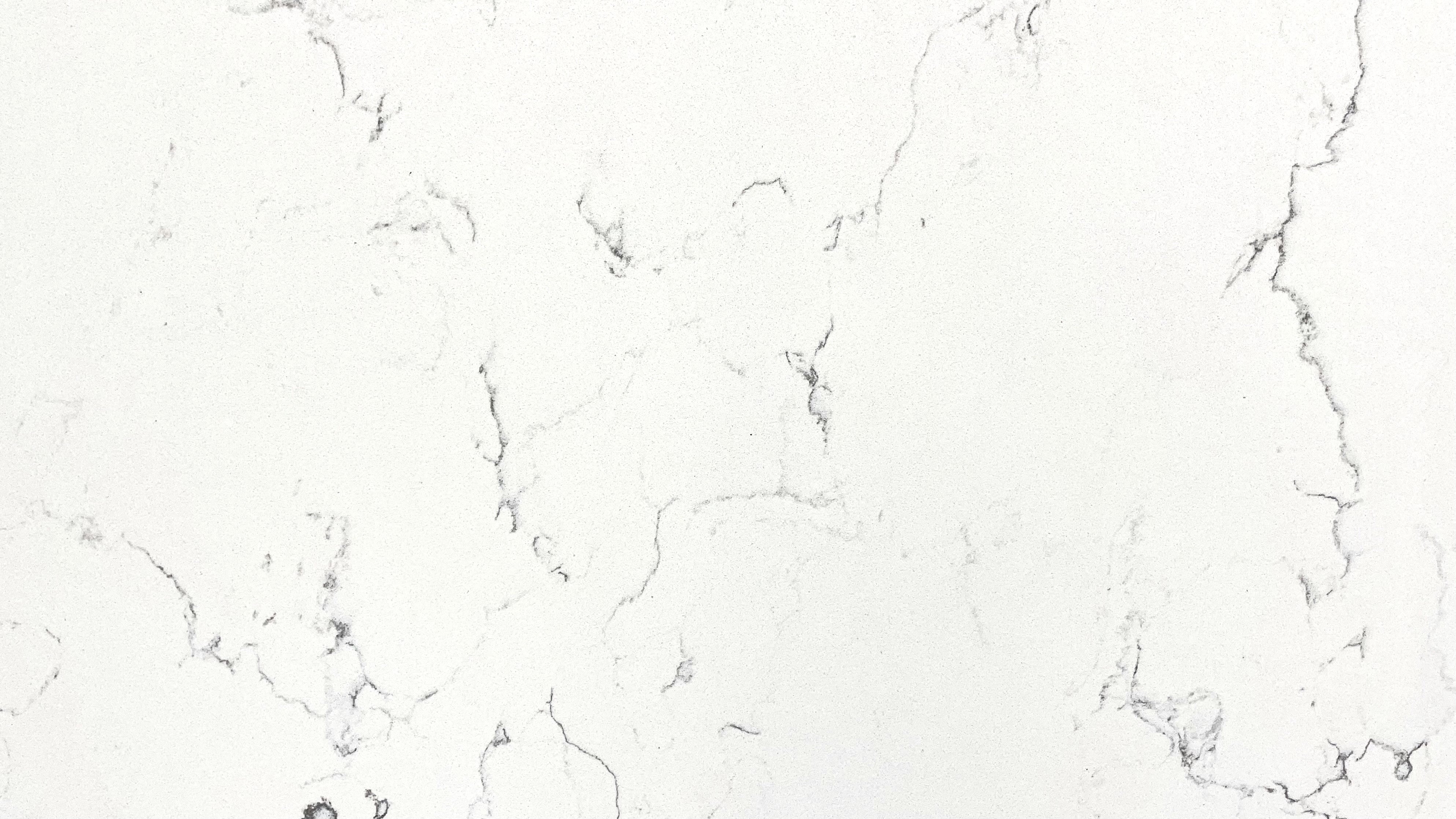 Carrara White 204