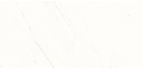 "BM Premium White"