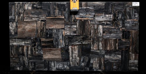Semi Precious Petrified Wood Black Retro