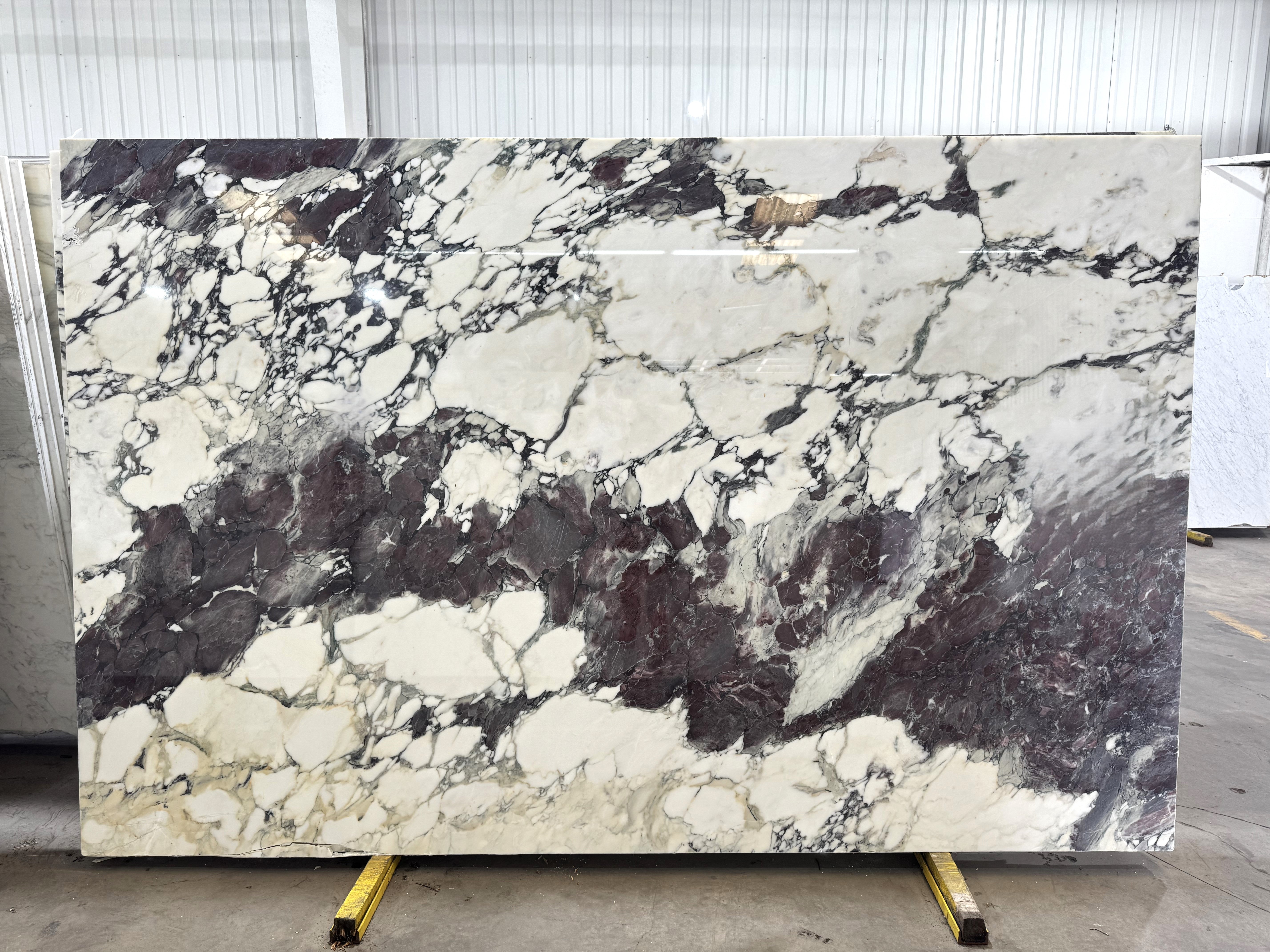 Breccia Capraia