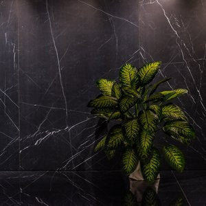 BM black Marquina