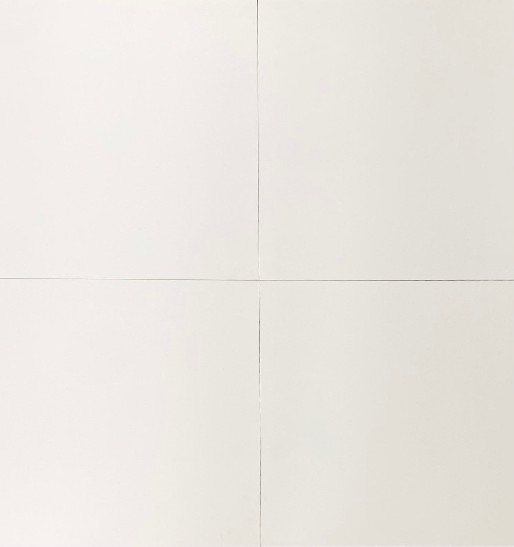 COLORTHEORY RECT WHITE FROST