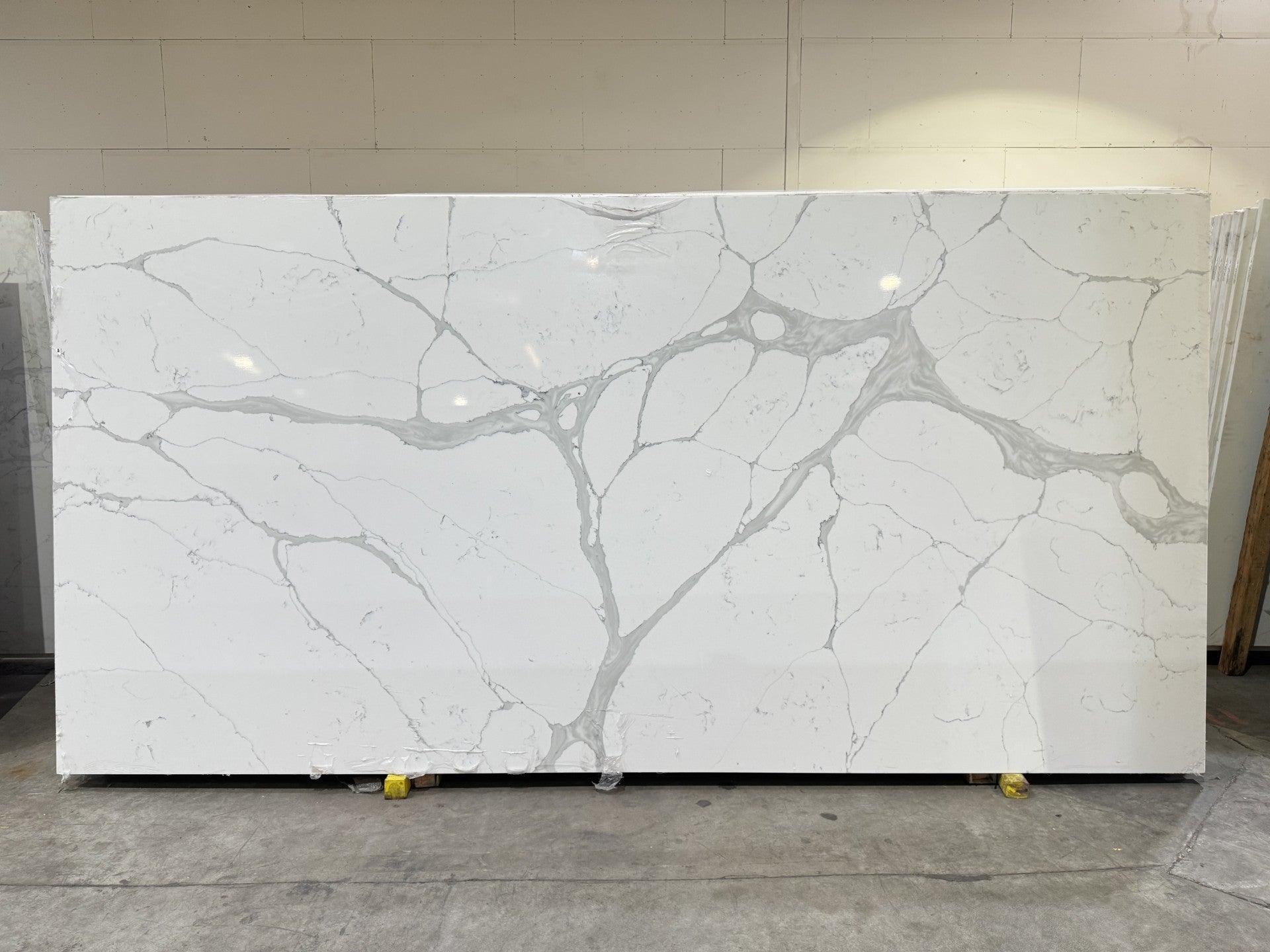 Statuario Amalfi 8619 Quartz