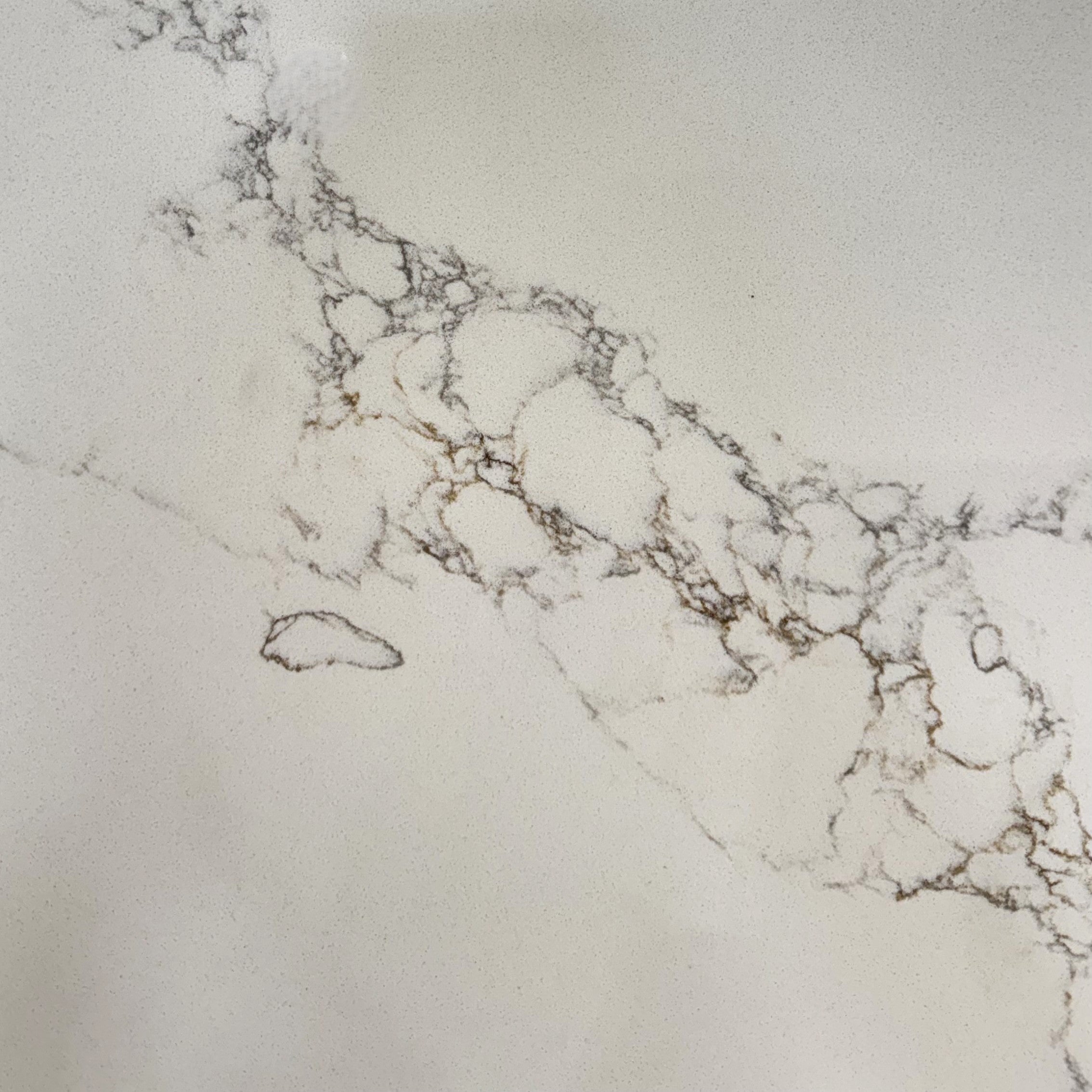 Aqua Gold 568 Titan Quartz