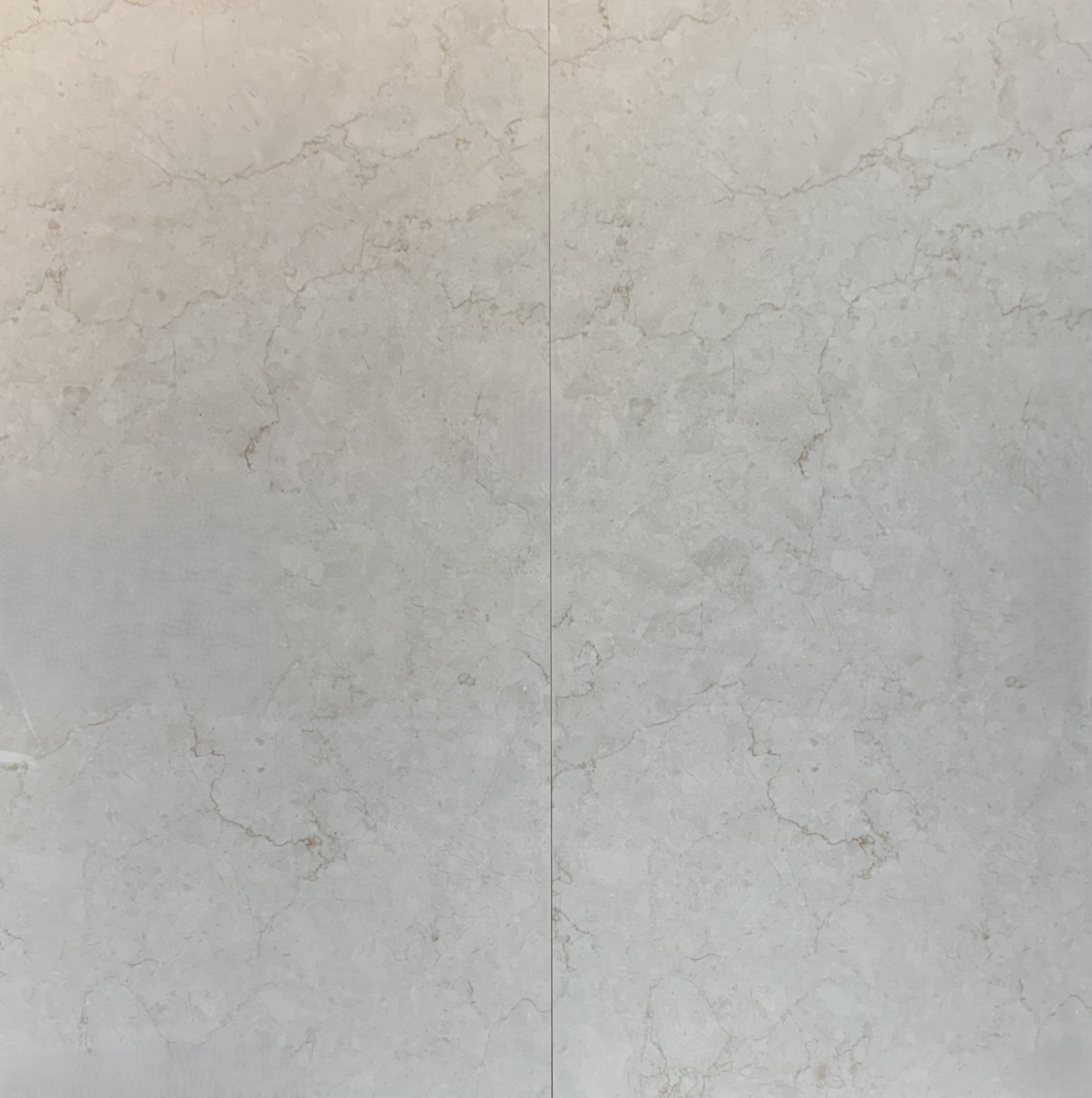 Avira Silver 24”x48”