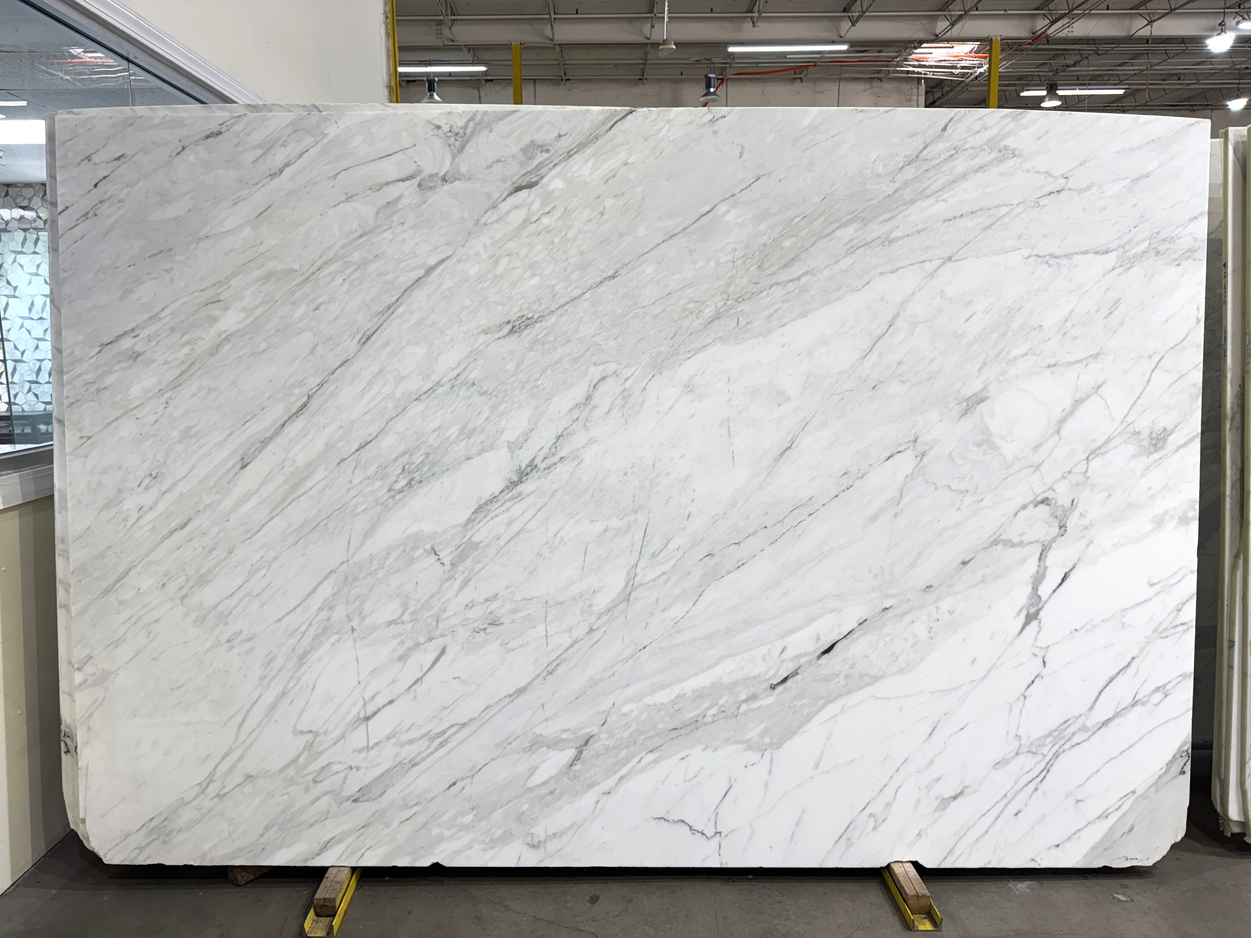 Calacatta Cremo Honed