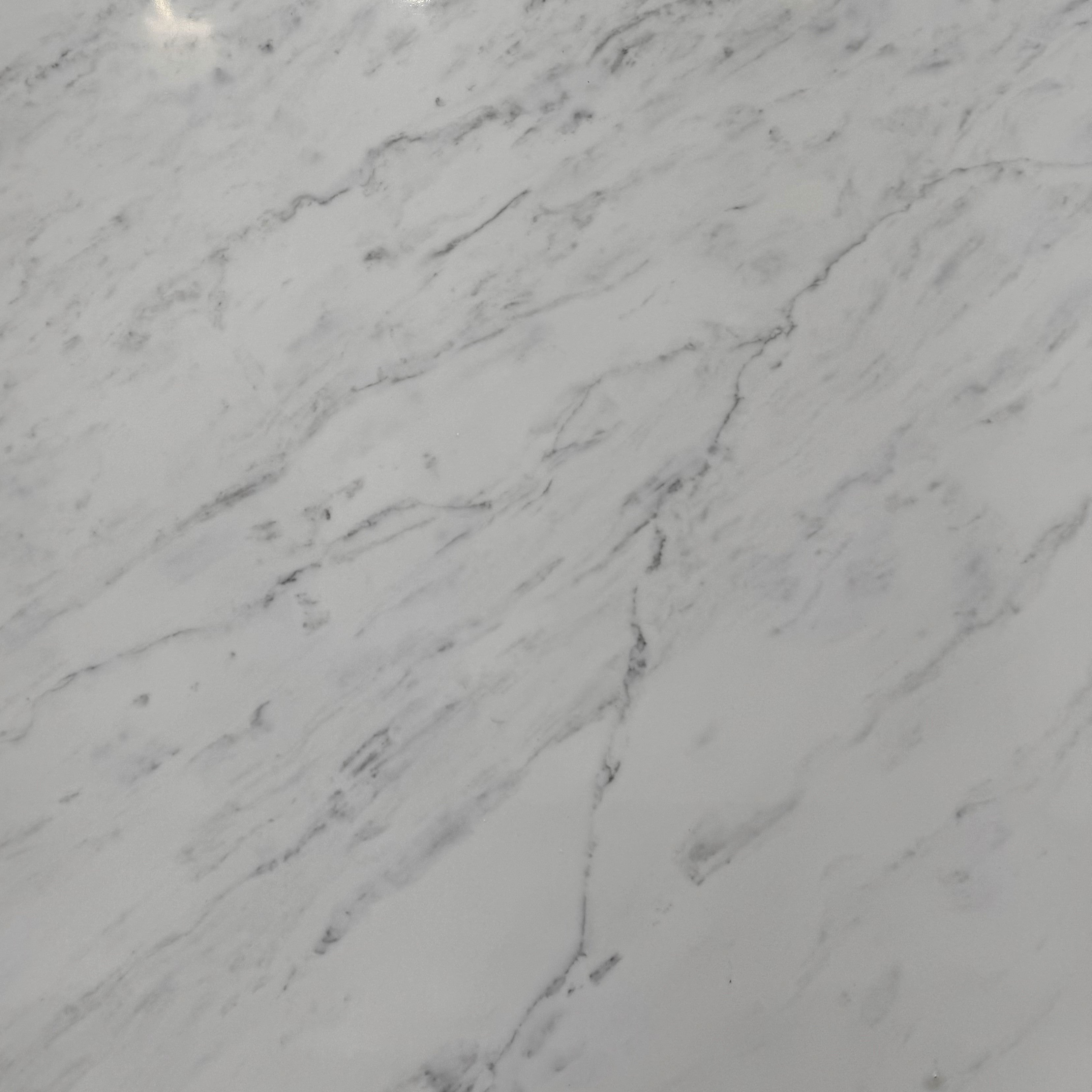 Carrara 8653 Quartz