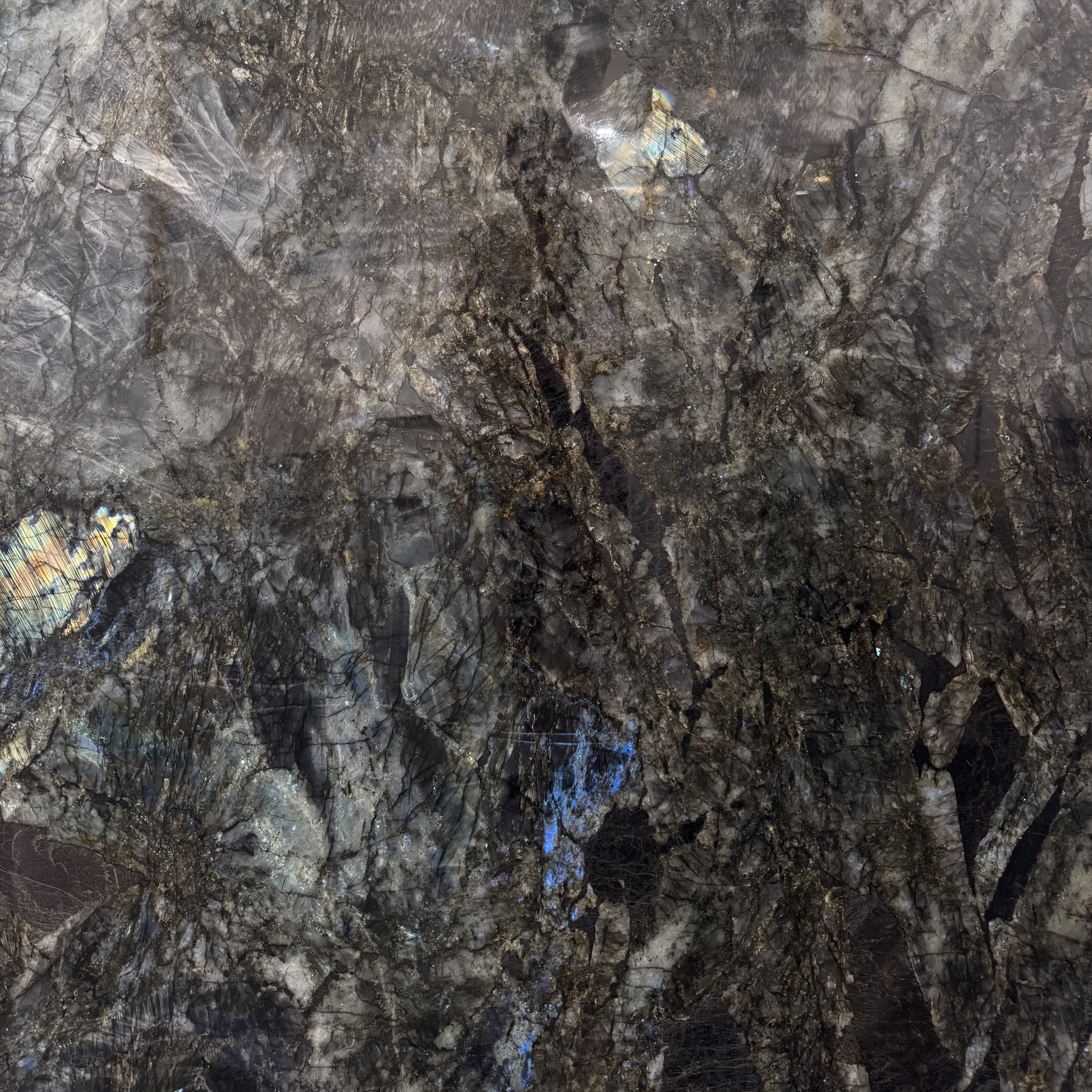 Lemurian Supreme Extra