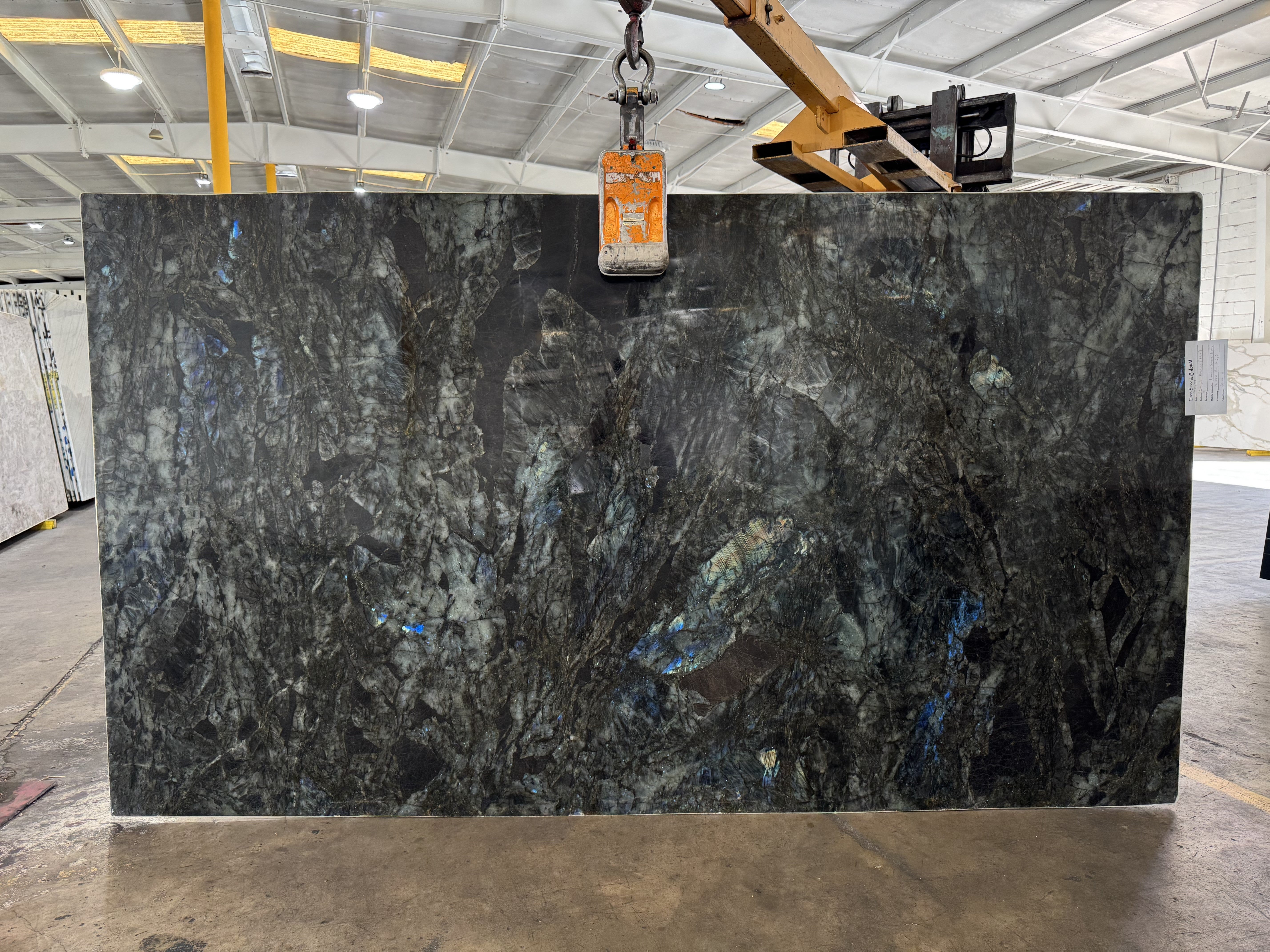 Lemurian Supreme Extra