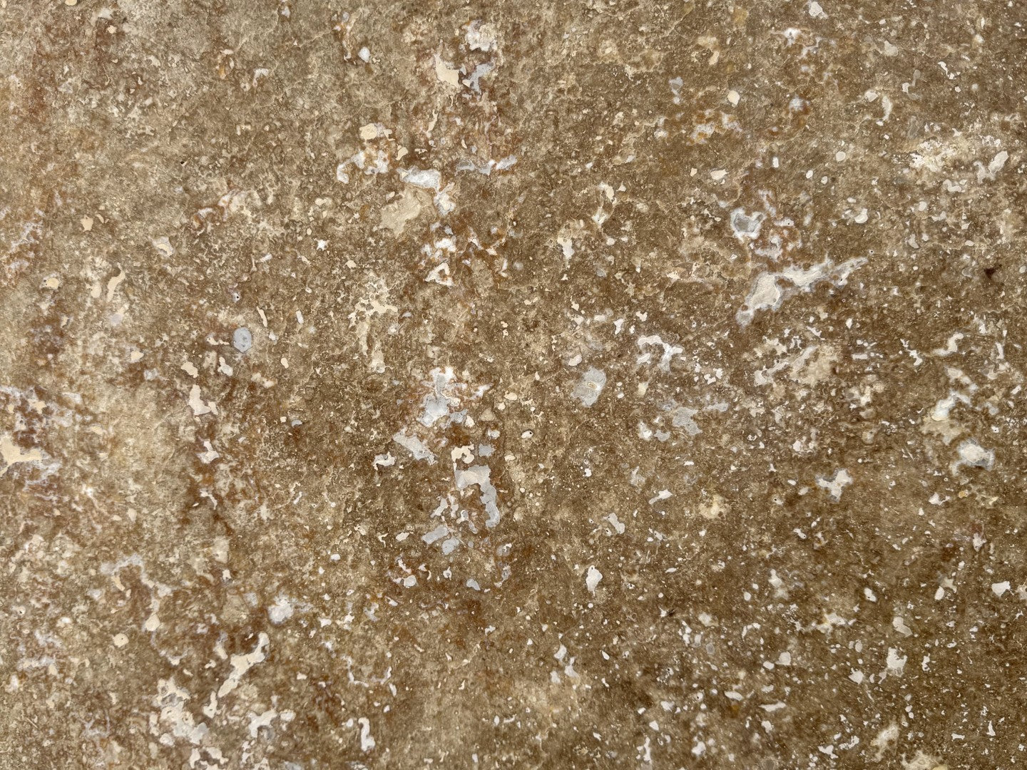 Travertine Noce 9999