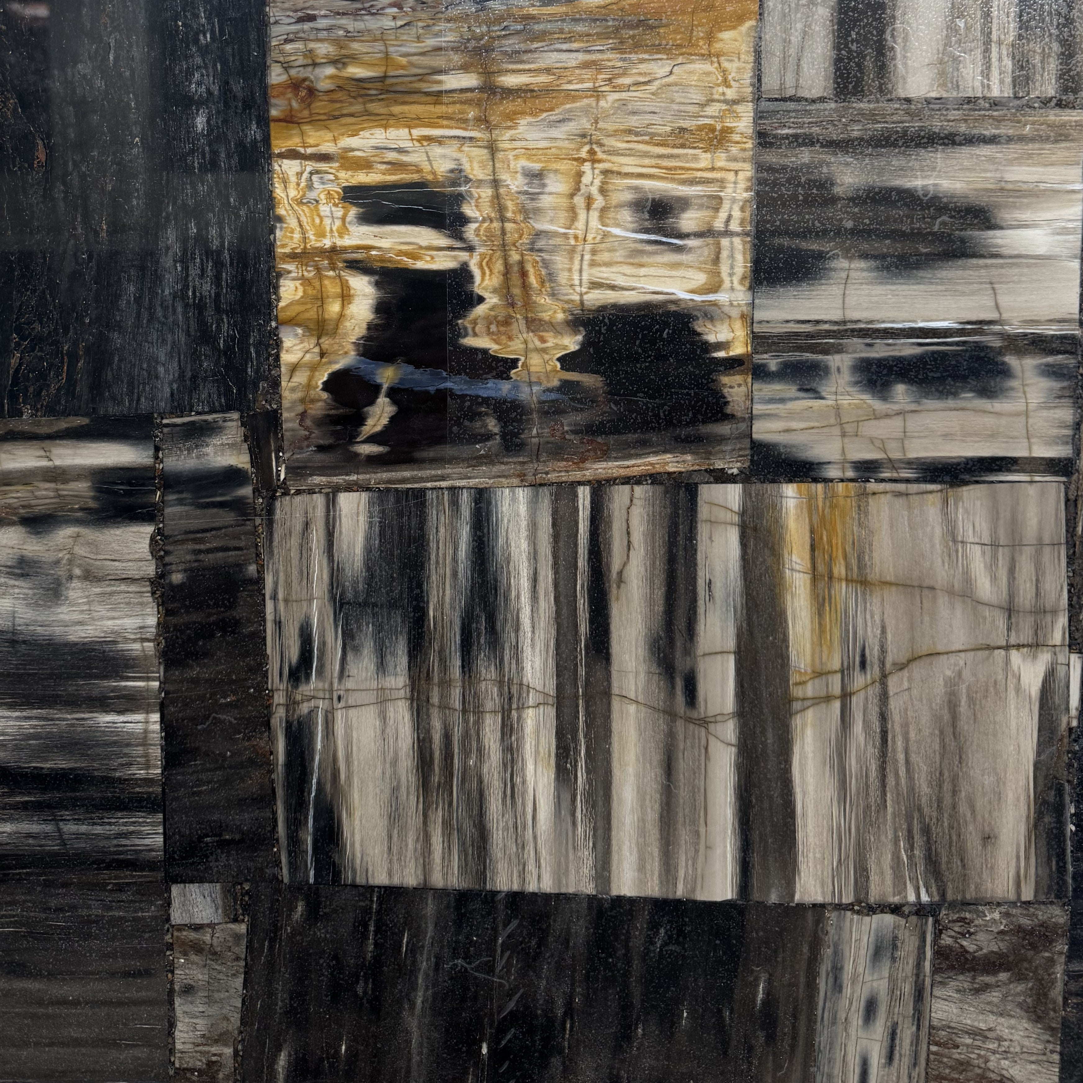 Semi Precious Petrified Wood Black Retro