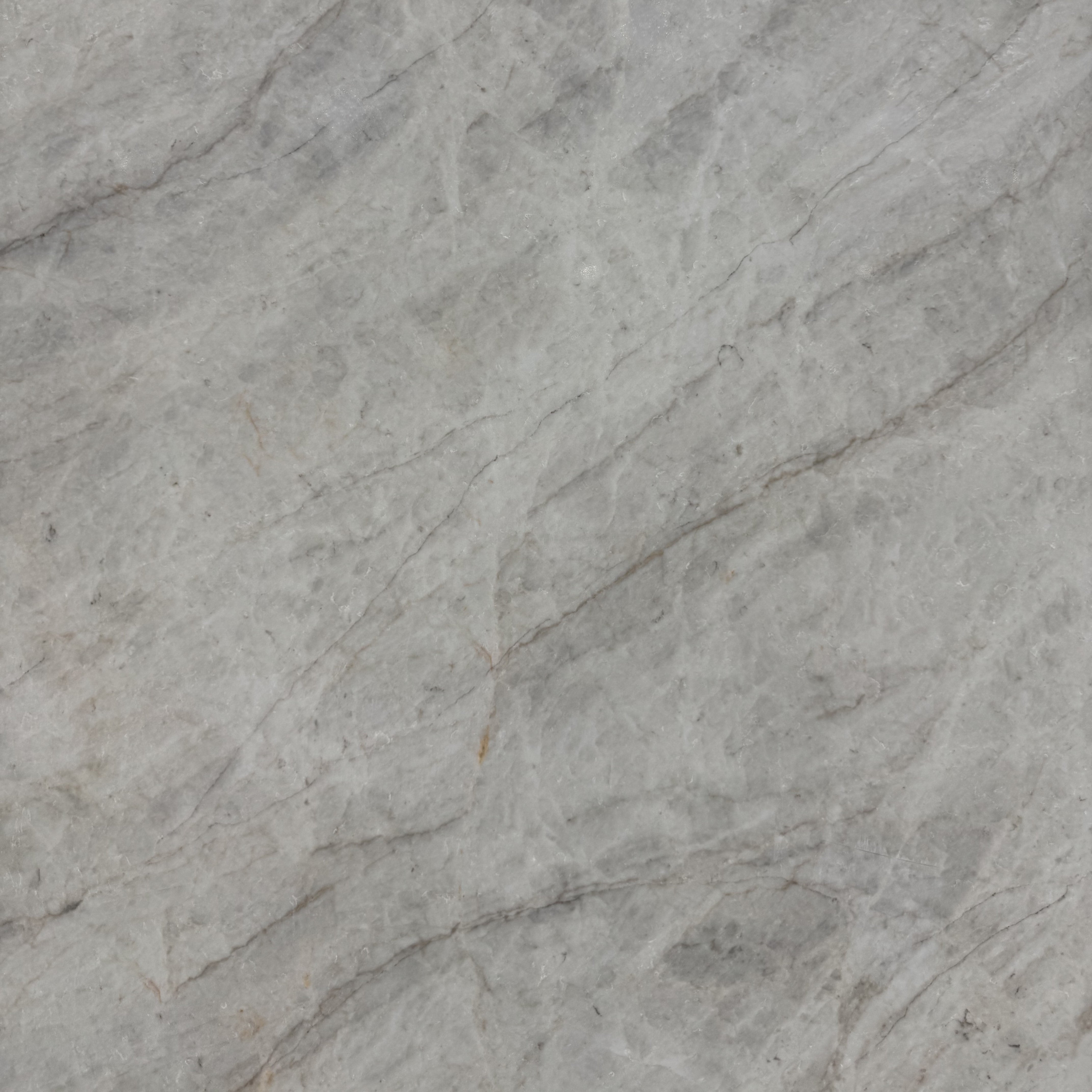 Taj Mahal 8869 Quartz