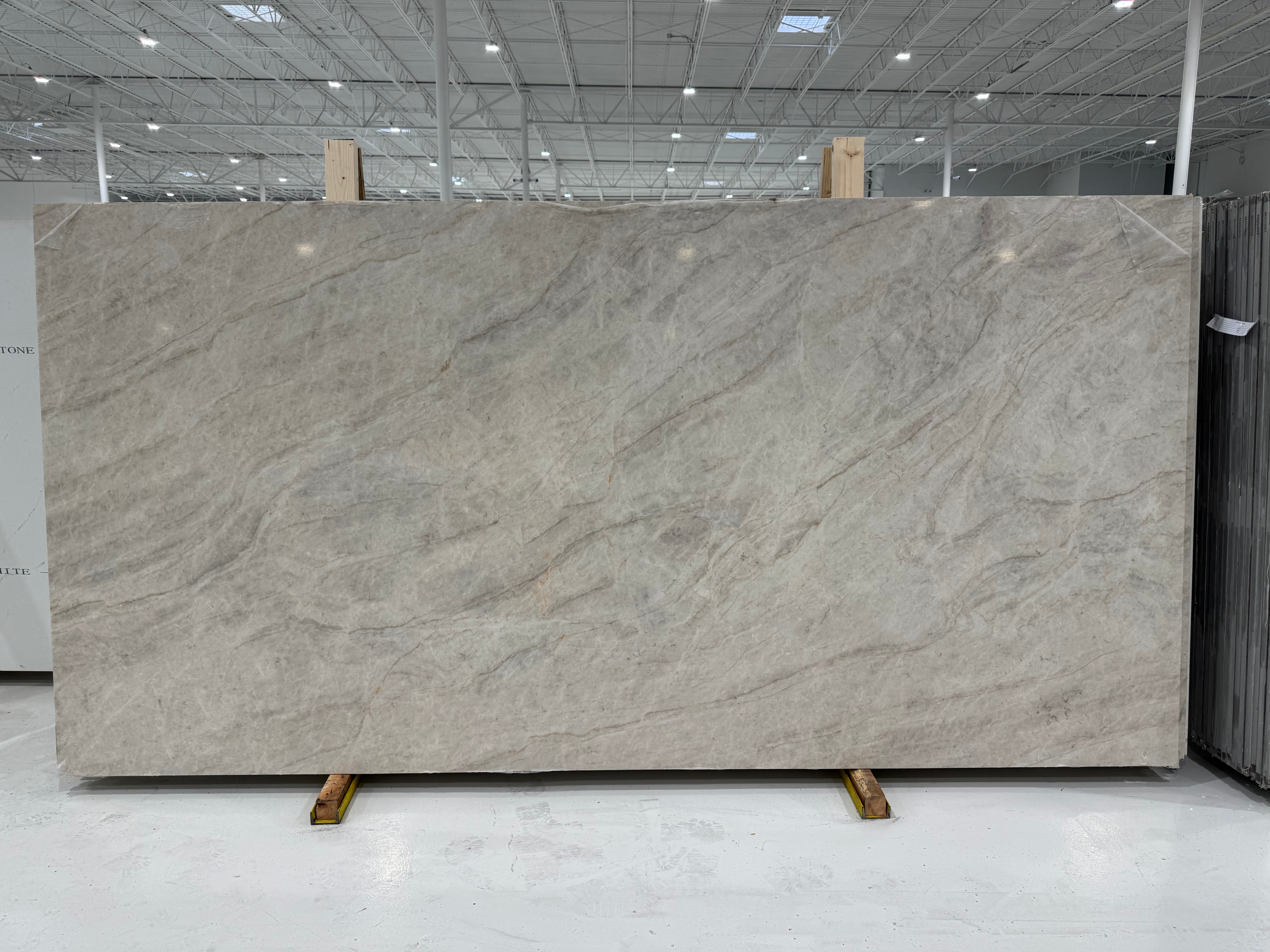 Taj Mahal 8869 Quartz