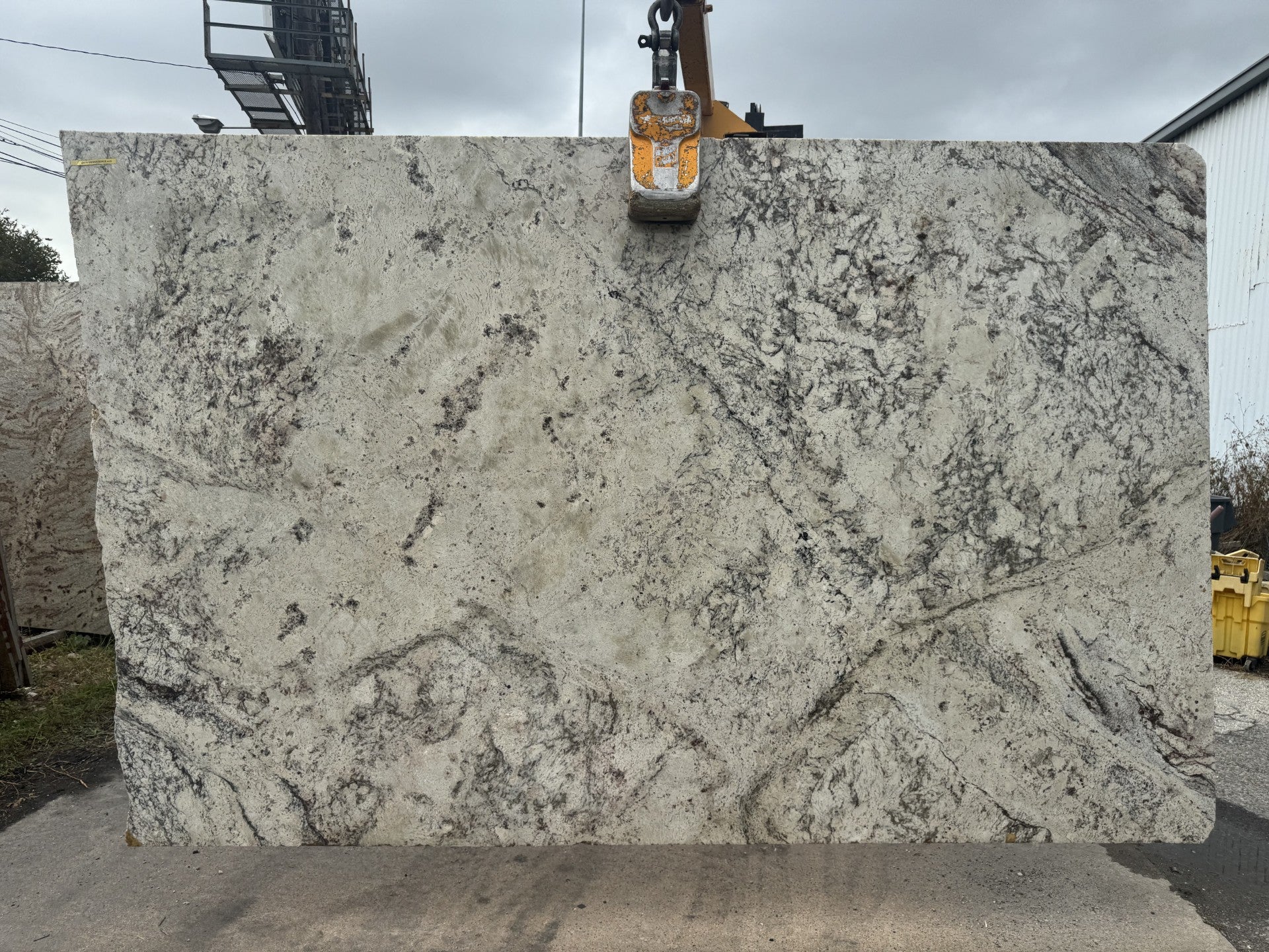 Tropical Sienna 9999