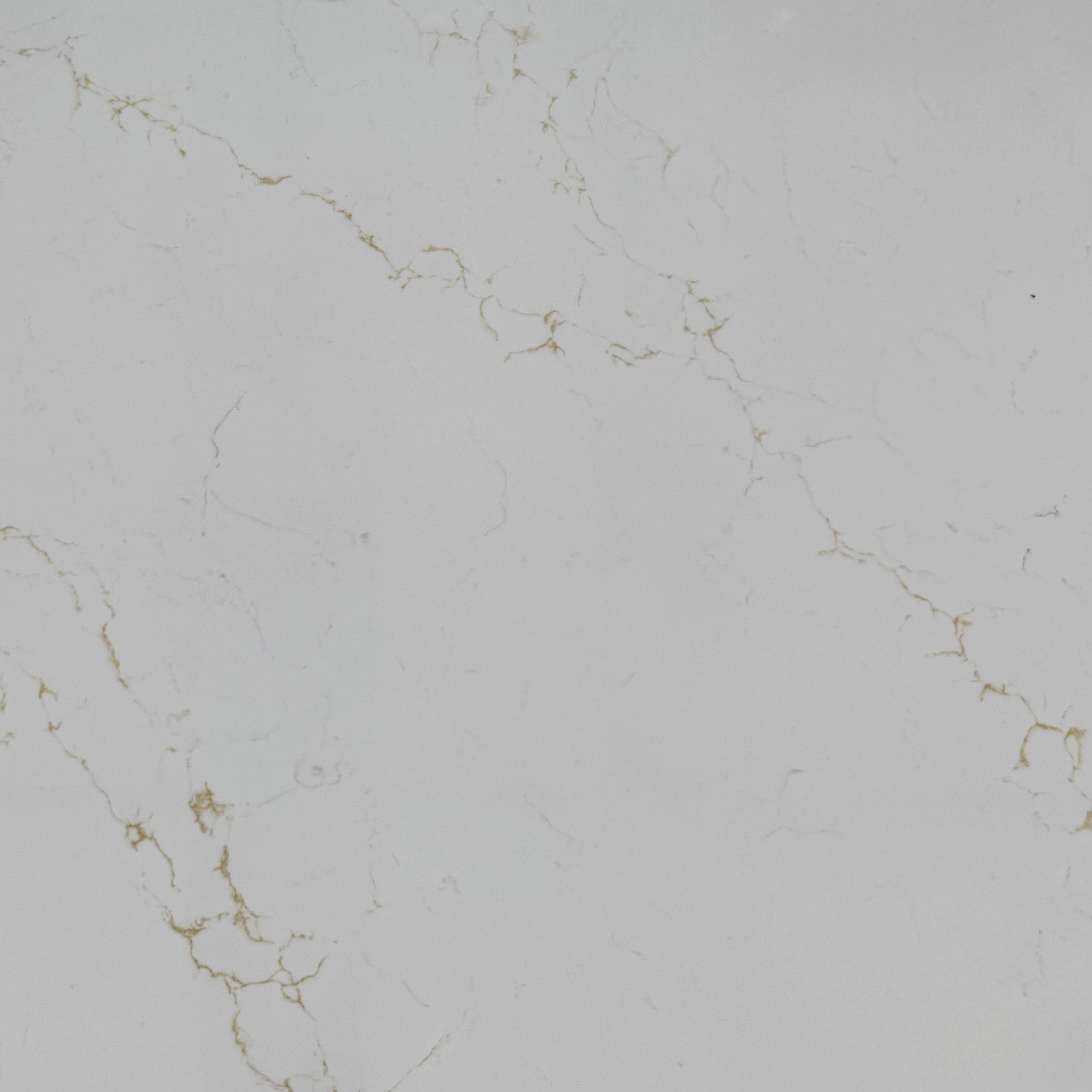 Venatino Gold 366 Titan Quartz