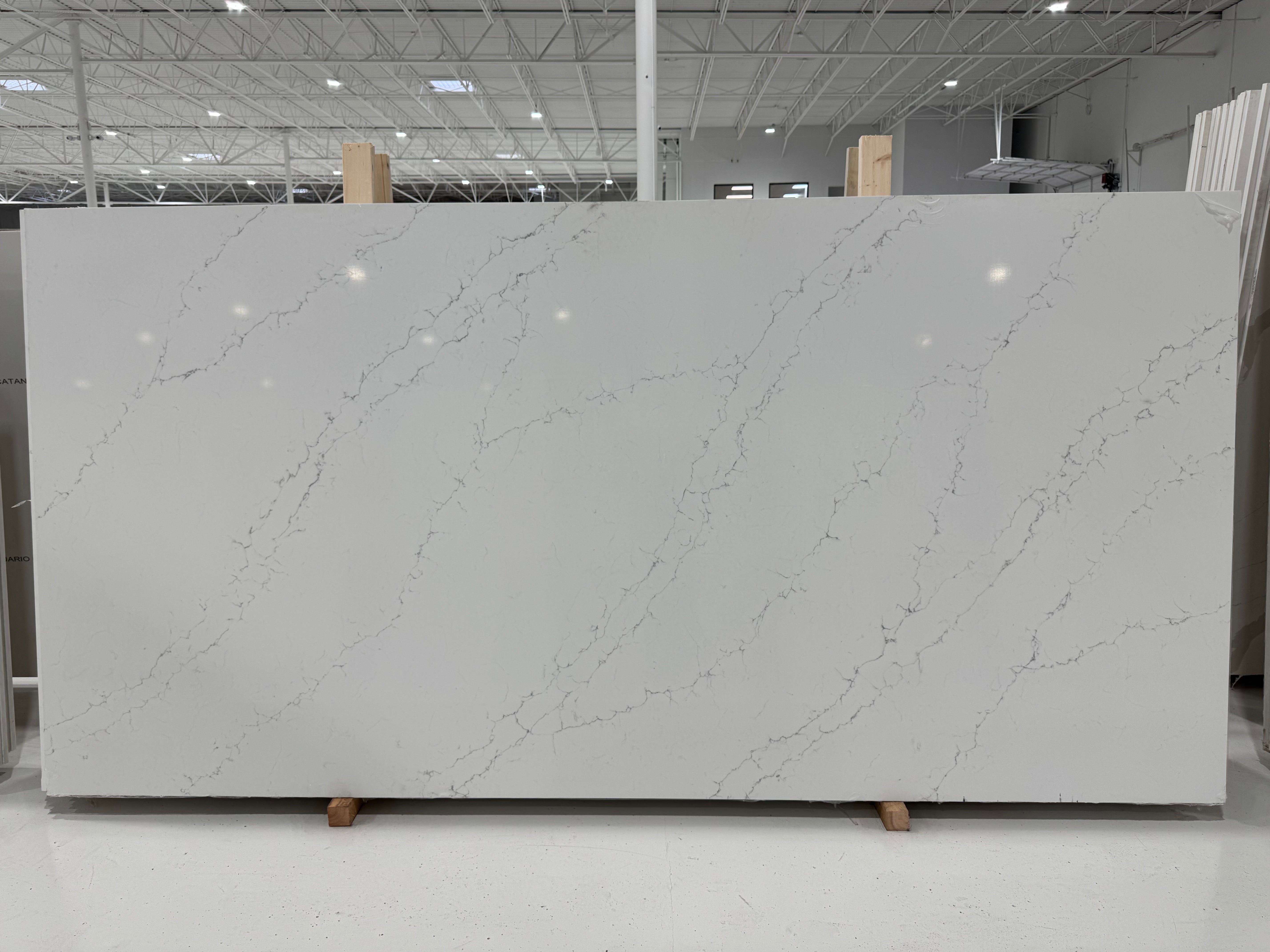 Venatino White 368 Titan Quartz